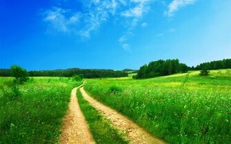 Beautiful Scenery Wallpaper HD
