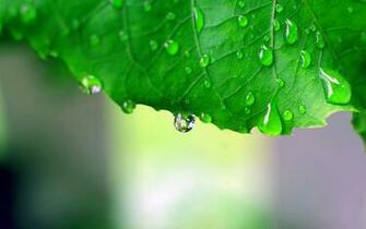 Wallpaper For Desktop One HD Pictures Background