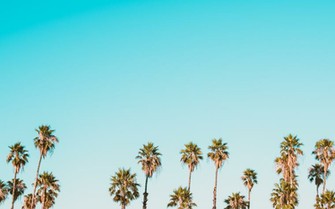 Able Tech Background For July The Everygirl