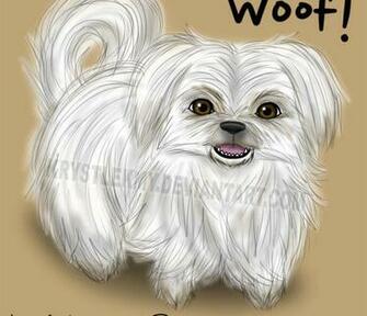 Awesome My Shih Tzu Diamond By Krystlekmy Dezl Wallpaper55