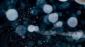 Bokeh Effects Wallpaper Photo Hellerup Image