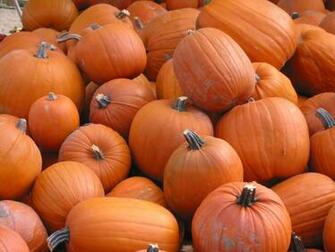 Pumpkins Background