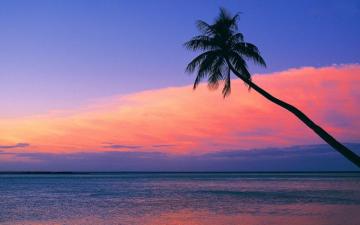 Look At The Pink Sunset From Beach Wallpaper