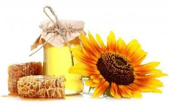 Bank Sunflower White Still Life Color Sweets Wallpaper Background