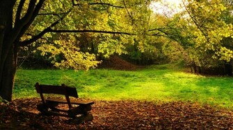 HD Wallpaper Autumn Bench Nature