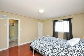 Benjamin Moore Lotus Paint And Wallpaper Mississauga Ontario