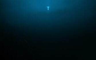 Speck In The Ocean Wallpaper For Phones And Tablets