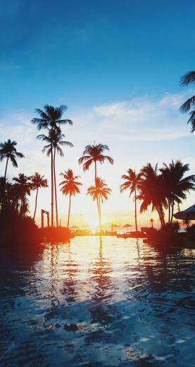 Beautiful Sunset iPhone Wallpaper And Palm Trees