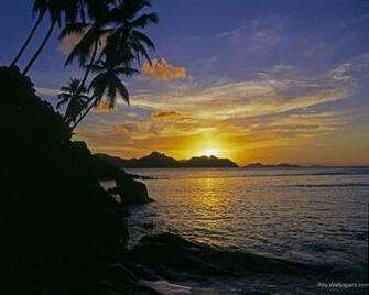 Paradise Wallpaper Art Print Poster Tropical