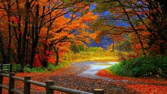 Autumn Wallpaper Leaves Nature Walls Image Background Tree