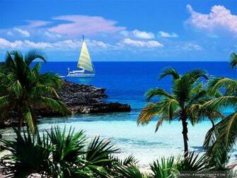 Hawaii Wallpaper Crazy Frankenstein