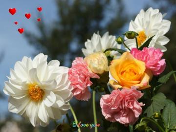 Beautiful Flower Wallpaper For Your Desktop Pictures