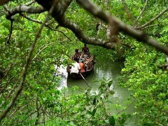 West Bengal Getaways For The Culture Nature And Ocean Lover Nat