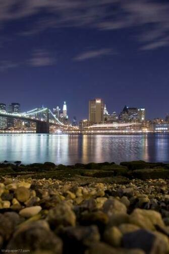 Chicago Skyline