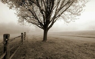 Night Sepia Wallpaper HD Desktop Background