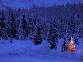 Christmas Image Wallpaper Blue Forest Tree Jpg