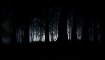 Dark Forest Wallpaper