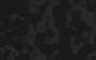 Wallpaper Fur By Chiwou Customize Org