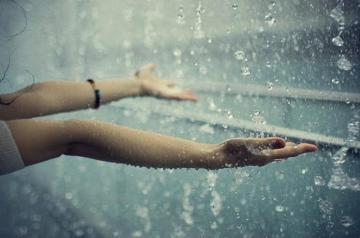 Rainy Season HD Wallpaper