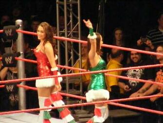 Wwe Hot Wallpaper Pictures Of The Bella Twins Divas Photos