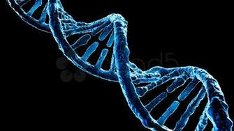 Blue Dna Strand Stock Video HD Footage