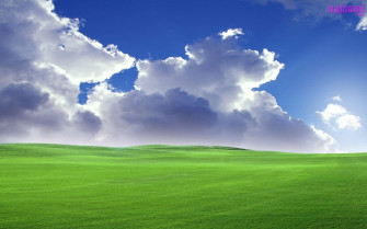 Windows Xp Wallpaper