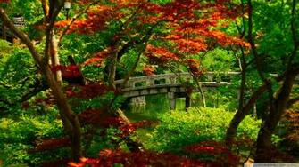 Japanese Garden Kyoto Wallpaper