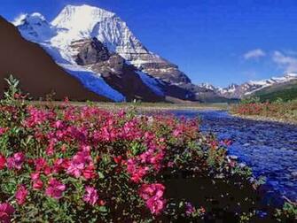 Himalayas HD Wallpaper