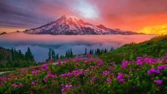 Mountain Landscape Spring Sunset Snowy Meadow