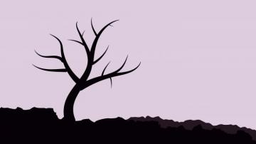 Illustrator 4k Wallpaper For Your Desktop Or Mobile Screen