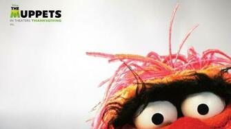 Beaker Muppets Desktop Wallpaper Net