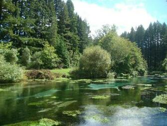 Humarana Springs Beautiful River Jd Wallpaper
