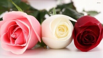 Pink And White Floral Wallpaper HD Base
