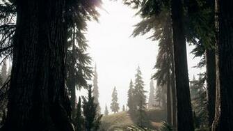 Far Cry Wallpaper 4k