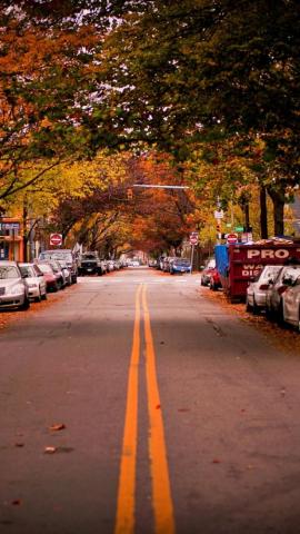 Autumn In City iPhone Wallpaper