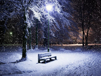 Park Snow Is Falling Wallpaper The Tragedy Of Police Over Reaction