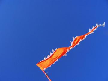 The Saffron Flag Stock Photo Image