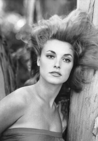 Sharon Tate Wallpaper