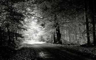 Best Wallpaper Photography Black And White Nature