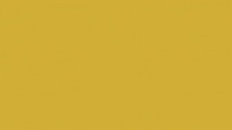 Metallic Gold Wallpaper Solid