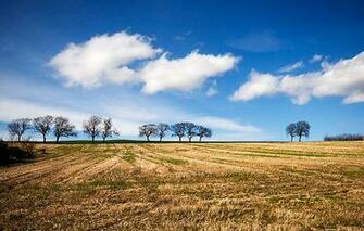 Country Texas Wallpaper Joy Studio Design Gallery Best