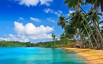 Tropical Beach Live Wallpaper Group