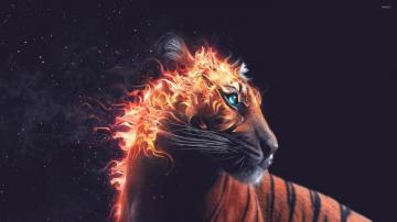 Flaming Tiger Wallpaper Artistic