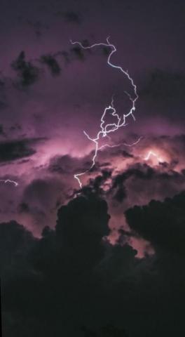 Wallpaper iPad Dark Sky Lion Nature Photo Aesthetic