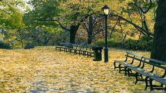 Autumn In New York Wallpaper Seasonal Crazy Frankenstein