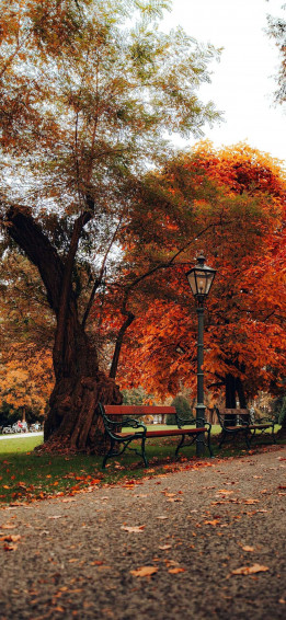 Beautiful Fall Wallpaper For iPhone May The Ray