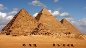 Wallpaper Egypt Pyramid Camel 8k Travel