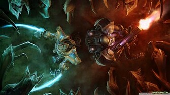 Zerg Starcraft Wallpaper