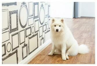 Frames Wallpaper Grasscloth
