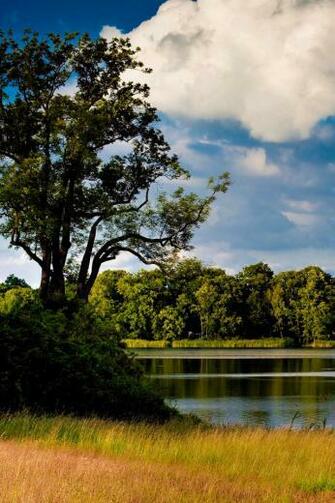 German Landscape iPhone Wallpaper Background And